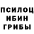 Псилоцибиновые грибы Psilocybe nedd