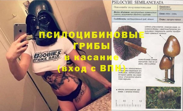меф Михайловск